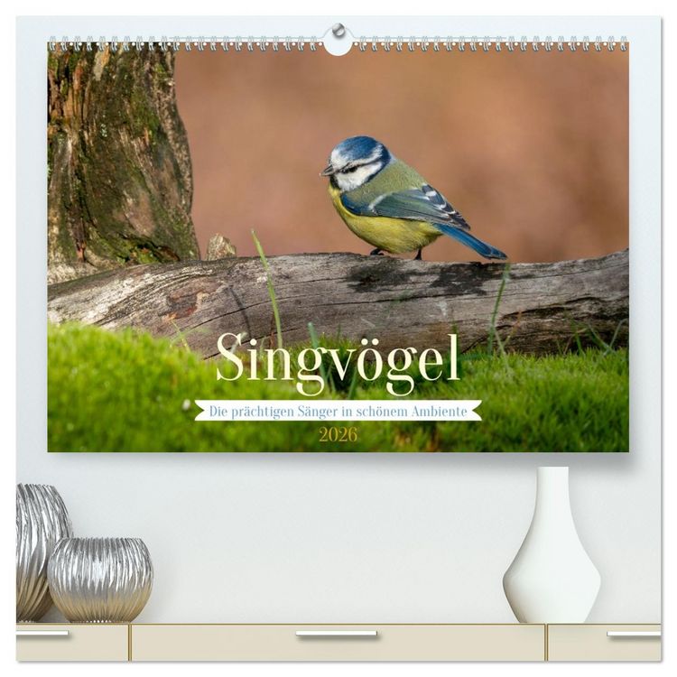 Produktbild: SINGV&Ouml;GEL - Die pr&auml;chtigen S&auml;nger in sch&ouml;nem Ambiente (hochwertiger Premium Wandkalender 2026 DIN A2 quer), Kunstdruck in Hochglanz
