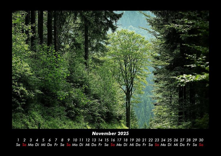 Produktbild: Waldzauber 2025 Fotokalender DIN A3