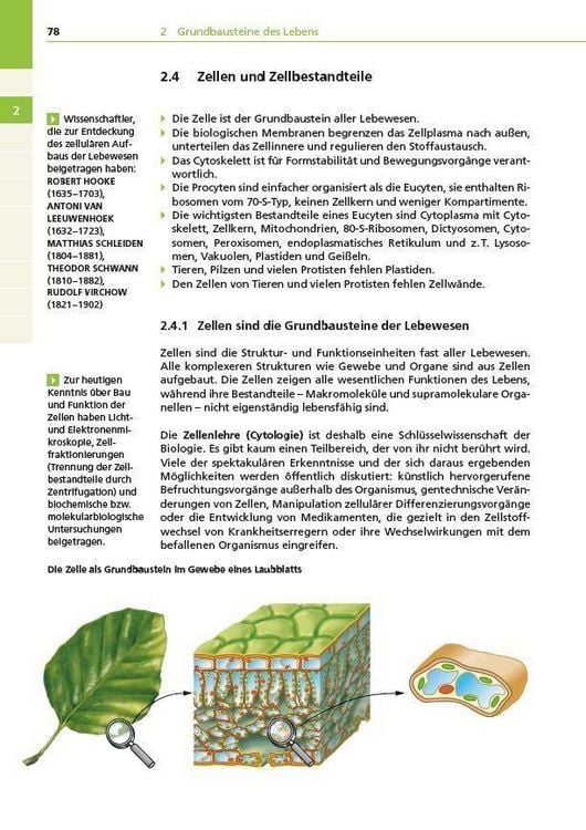 Produktbild: Basiswissen Schule &ndash; Biologie Abi