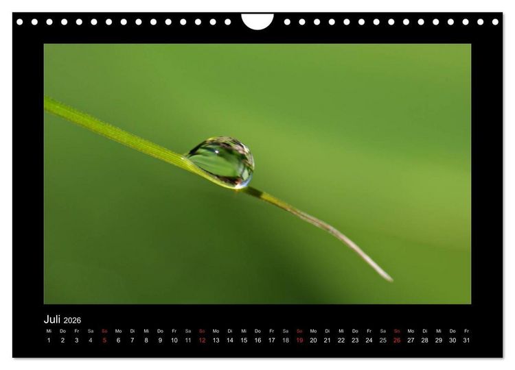 Produktbild: Meine kleine gr&uuml;ne Wassertropfen Welt (Wandkalender 2026 DIN A4 quer), CALVENDO Monatskalender