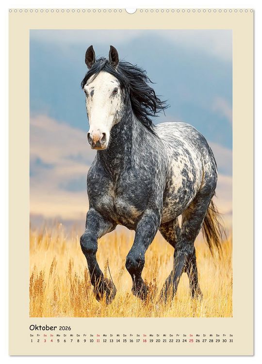 Produktbild: Amerikanische Mustangs. Symbole f&uuml;r Freiheit und Pioniergeis (Wandkalender 2026 DIN A2 hoch), CALVENDO Monatskalender