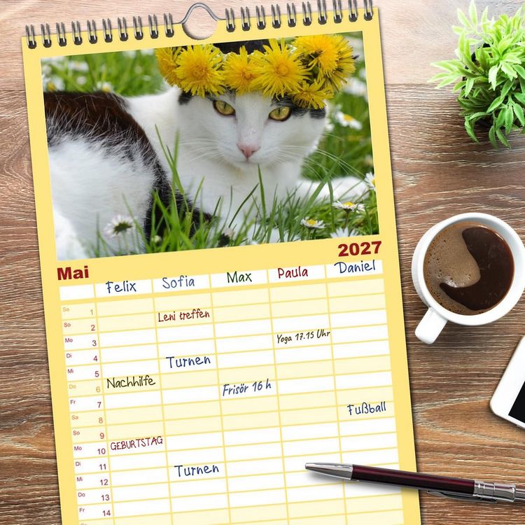 Produktbild: Familienplaner 2027 - Die Launen der Katzen 2027 mit 5 Spalten (Wandkalender, 21 x 45 cm) CALVENDO