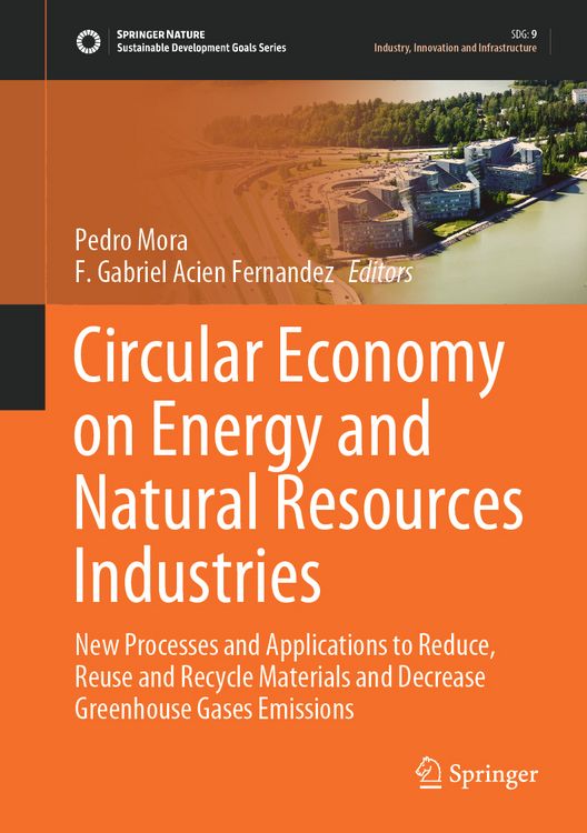 Produktbild: Circular Economy on Energy and Natural Resources Industries