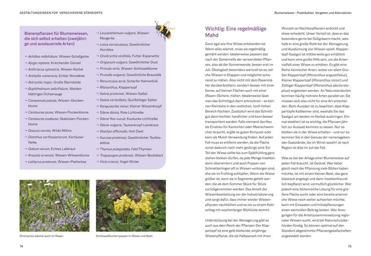 Produktbild: Bienenfreundlich G&auml;rtnern