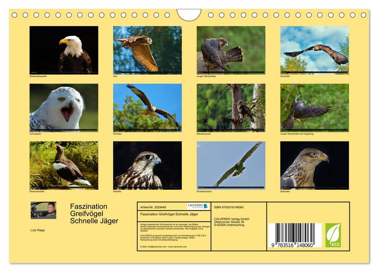Produktbild: Faszination Greifv&ouml;gel Schnelle J&auml;ger (Wandkalender 2026 DIN A4 quer), CALVENDO Monatskalender