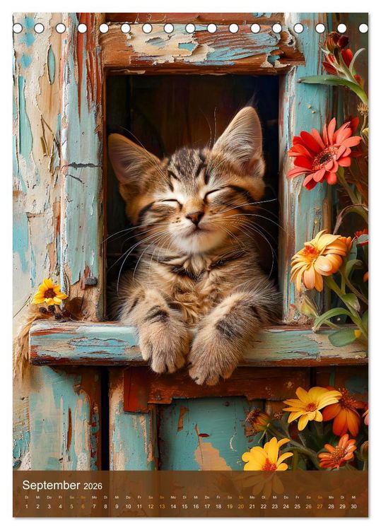 Produktbild: Kuschelkatzen - Fellnasen im Schlummerland (Tischkalender 2026 DIN A5 hoch), CALVENDO Monatskalender