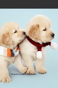 Produktbild: Notizb&uuml;cher / S&uuml;&szlig;es Hunde Welpe Notizbuch Businessplaner Geschenkidee f&uuml;r Mann Frau und Kind