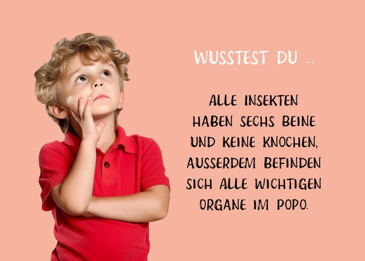 Produktbild: Die dicke Hummel Doris