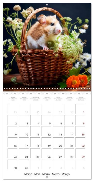 Produktbild: Sweet HAMSTERS (Wall Calendar 2026 12 &times; 12 Inch) CALVENDO 12 Month Wall Calendar