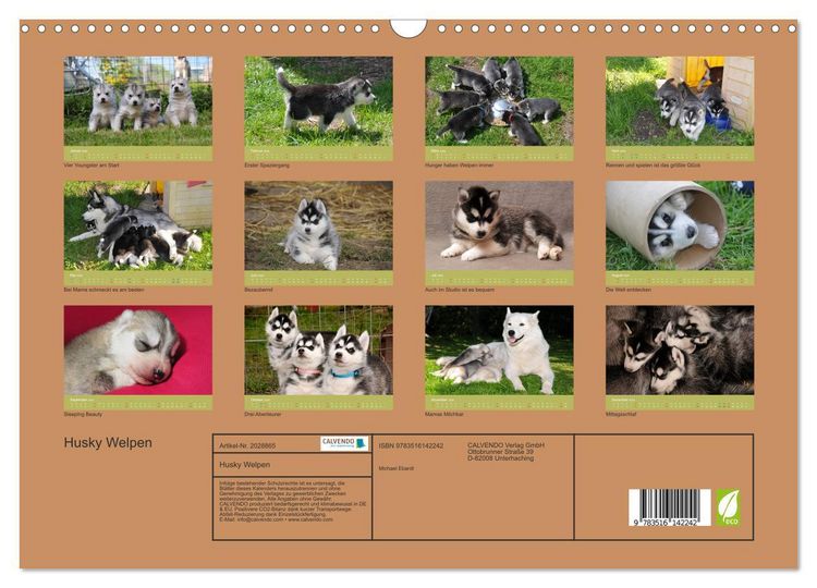 Produktbild: Husky Welpen (Wandkalender 2026 DIN A3 quer), CALVENDO Monatskalender