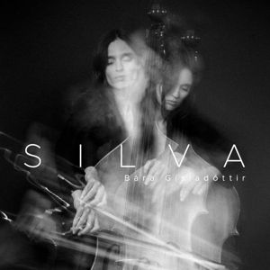 Produktbild: Silva