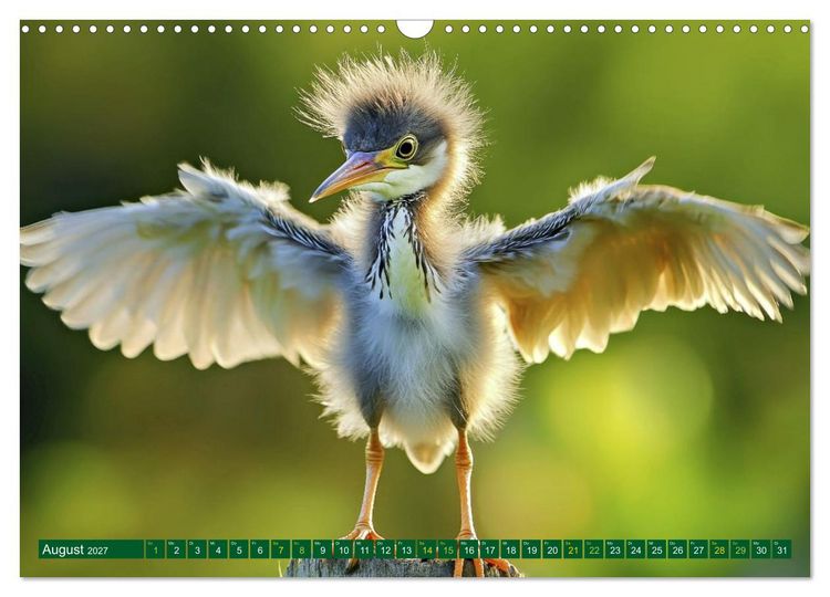 Produktbild: Tierkinder der L&uuml;fte - Vogelwelt (Wandkalender 2027 DIN A3 quer), CALVENDO Monatskalender
