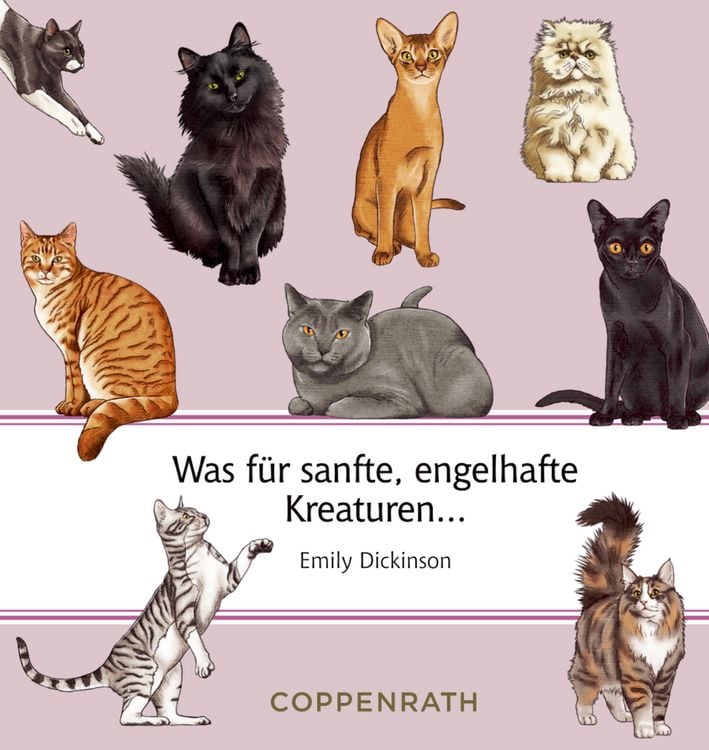 Produktbild: Katzen