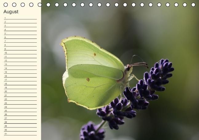 Produktbild: Geburtstagskalender "Nette Kleinigkeiten" (Tischkalender immerw&auml;hrend DIN A5 quer)