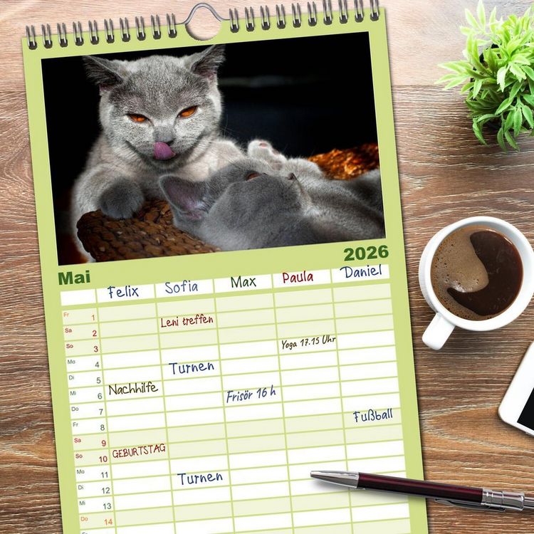 Produktbild: Familienplaner 2026 - B&auml;rige Schmusetiger - Britisch Kurzhaar mit 5 Spalten (Wandkalender, 21 x 45 cm) CALVENDO