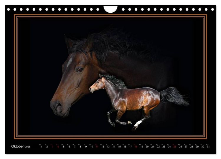 Produktbild: Traumpferde-ART-Collection (Wandkalender 2026 DIN A4 quer), CALVENDO Monatskalender
