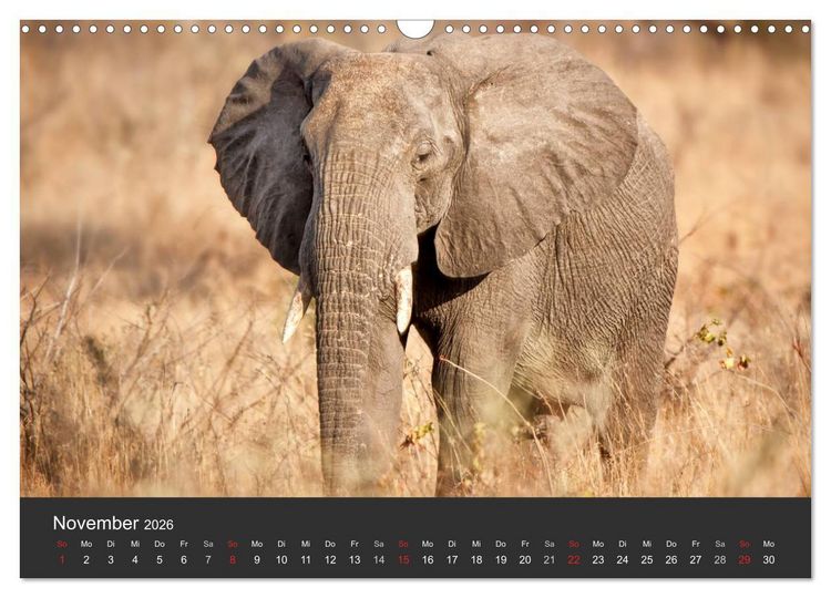 Produktbild: Elefanten - Graue Riesen (Wandkalender 2026 DIN A3 quer), CALVENDO Monatskalender