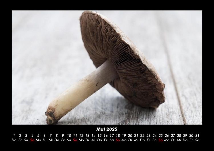 Produktbild: Pilzkalender 2025 Fotokalender DIN A3