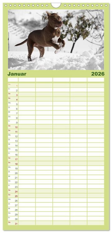 Produktbild: Familienplaner 2026 - American Staff und Co. mit 5 Spalten (Wandkalender, 21 x 45 cm) CALVENDO