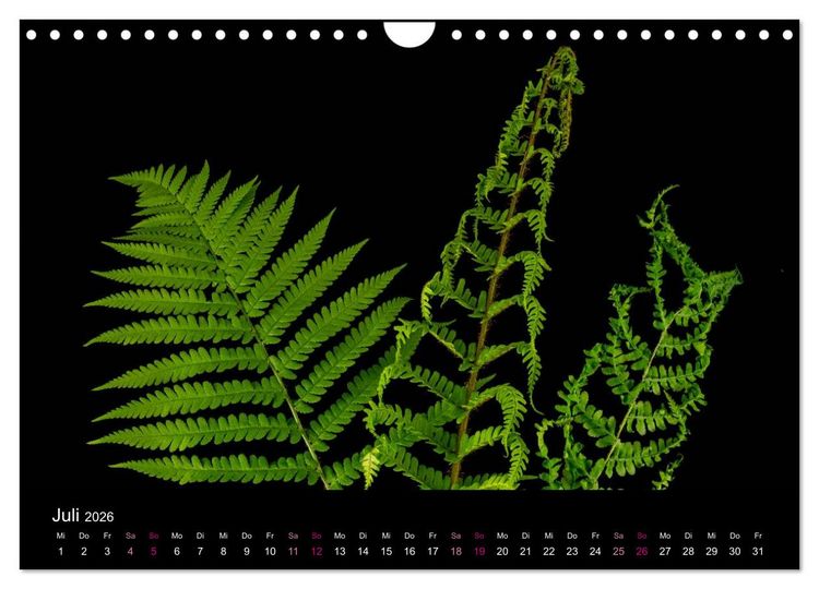Produktbild: Ver&auml;ndertes (Wandkalender 2026 DIN A4 quer), CALVENDO Monatskalender