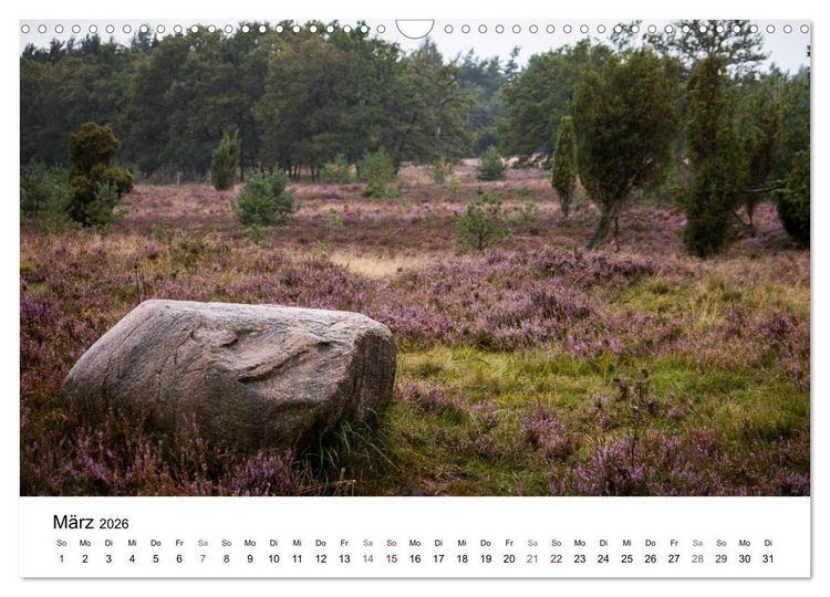 Produktbild: L&uuml;neburger Heide (Wandkalender 2026 DIN A3 quer), CALVENDO Monatskalender