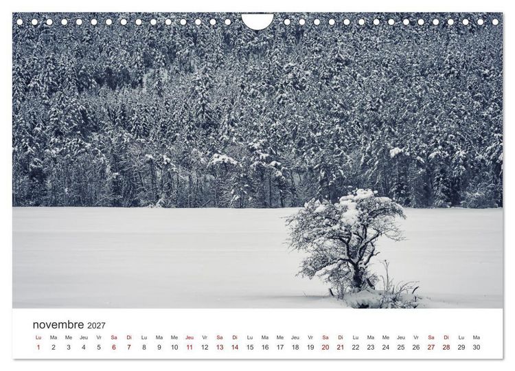 Produktbild: Visite de la France (Calendrier mural 2027 DIN A4 vertical), CALVENDO calendrier mensuel