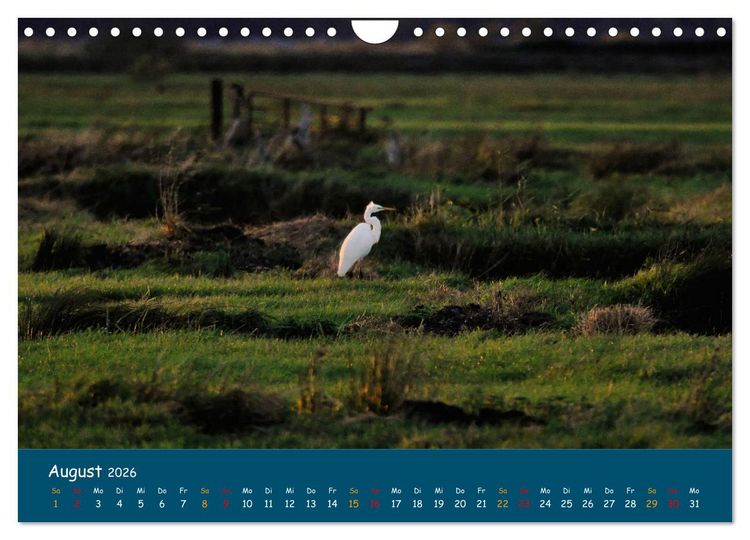 Produktbild: Naturschutzgebiet W&uuml;mme (Wandkalender 2026 DIN A4 quer), CALVENDO Monatskalender