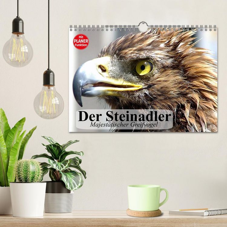 Produktbild: Der Steinadler. Majest&auml;tischer Greifvogel (Wandkalender 2026 DIN A4 quer), CALVENDO Monatskalender