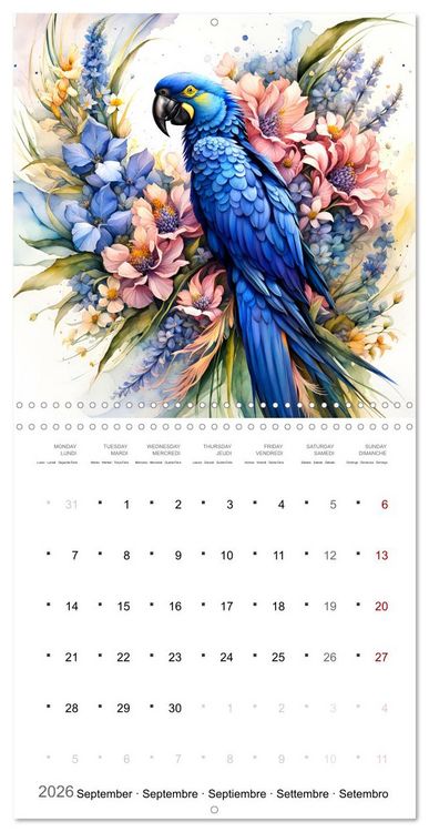Produktbild: Des perroquets color&eacute;s (Calendrier mural carr&eacute; 2026 30x30 cm) Calendrier double avec une page pour vos prises de notes