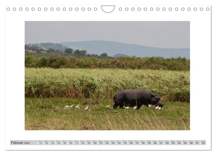 Produktbild: Ruanda (Wandkalender 2026 DIN A4 quer), CALVENDO Monatskalender