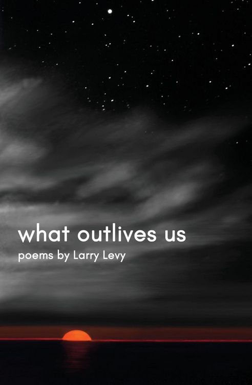 Produktbild: What Outlives Us