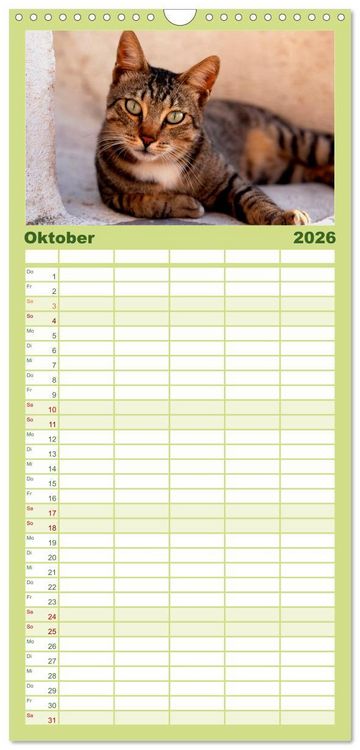 Produktbild: Familienplaner 2026 - Katzen mit 5 Spalten (Wandkalender, 21 x 45 cm) CALVENDO