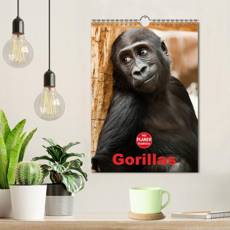 Produktbild: Gorillas (Wandkalender 2026 DIN A4 hoch), CALVENDO Monatskalender