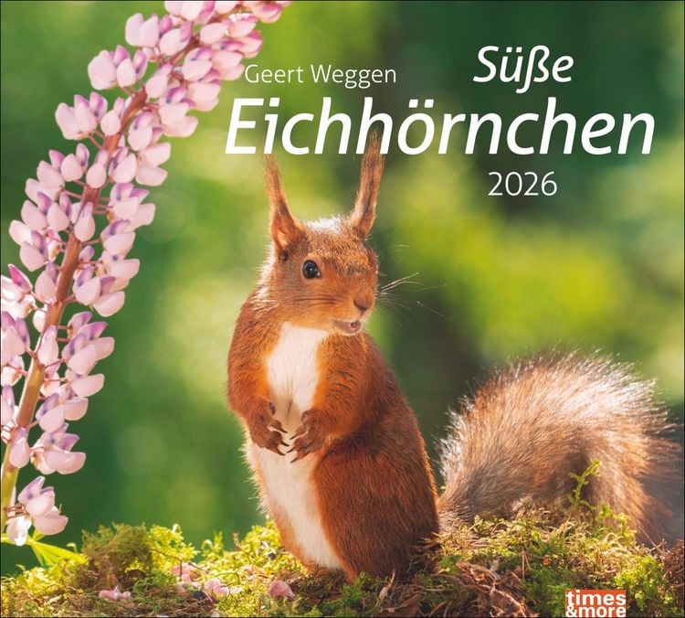 Produktbild: Times&more Eichhörnchen Bildkalender 2026