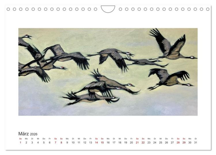 Produktbild: Auf leichten Schwingen - Zugv&ouml;gel (Wandkalender 2026 DIN A4 quer), CALVENDO Monatskalender