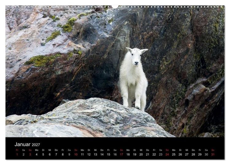 Produktbild: FASZINATION ALASKA Expedition durch die Inside Passage (Wandkalender 2027 DIN A2 quer), CALVENDO Monatskalender