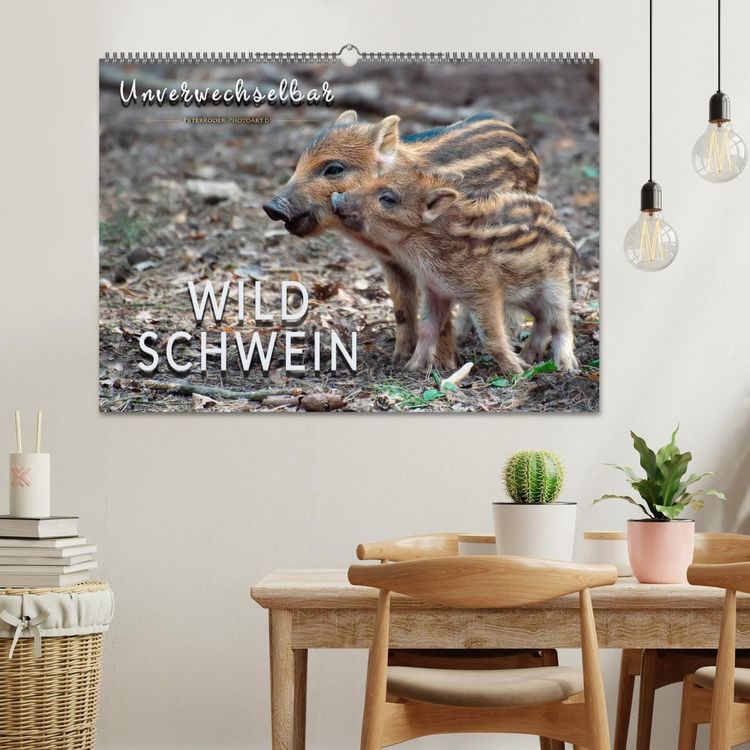 Produktbild: Unverwechselbar - Wildschwein (Wandkalender 2026 DIN A2 quer), CALVENDO Monatskalender