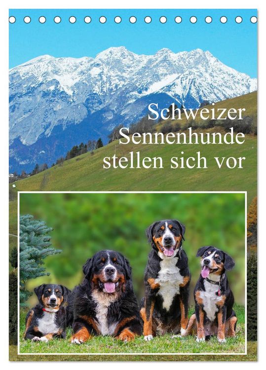 Produktbild: Schweizer Sennenhunde stellen sich vor (Tischkalender 2026 DIN A5 hoch), CALVENDO Monatskalender