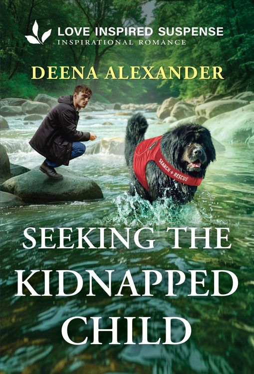 Produktbild: Seeking the Kidnapped Child