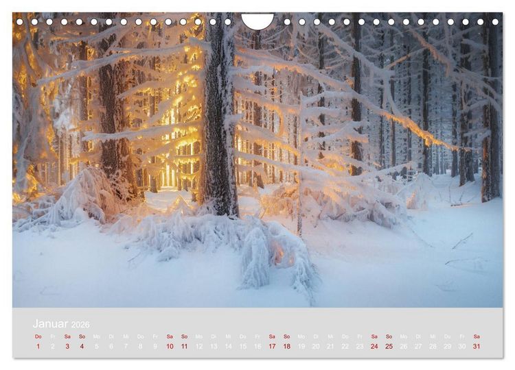 Produktbild: Im Lichtglanz der Jahreszeiten (Wandkalender 2026 DIN A4 quer), CALVENDO Monatskalender