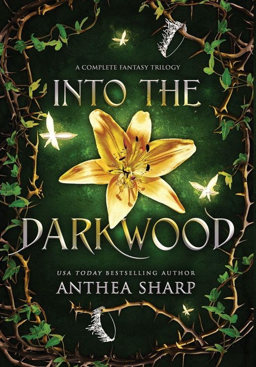 Produktbild: Into the Darkwood