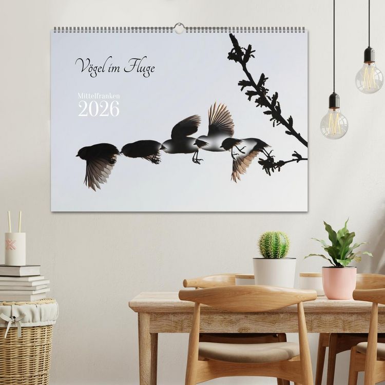 Produktbild: V&ouml;gel im Fluge (Wandkalender 2026 DIN A2 quer), CALVENDO Monatskalender