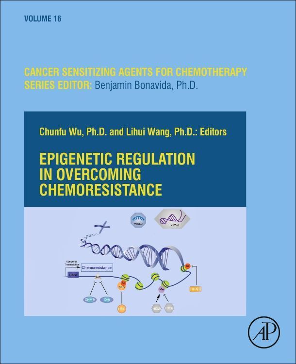 Produktbild: Epigenetic Regulation in Overcoming Chemoresistance