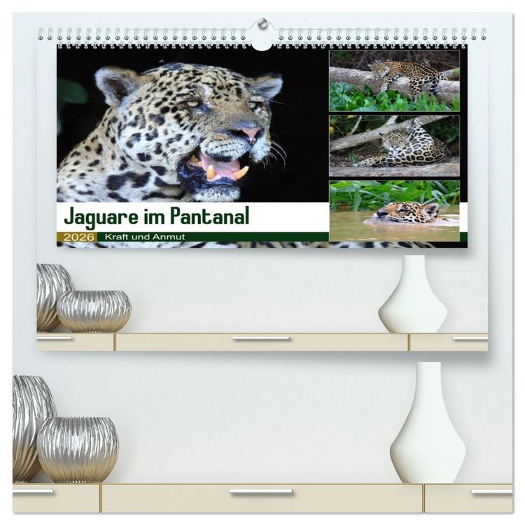 Produktbild: Jaguare im Pantanal (hochwertiger Premium Wandkalender 2026 DIN A2 quer), Kunstdruck in Hochglanz