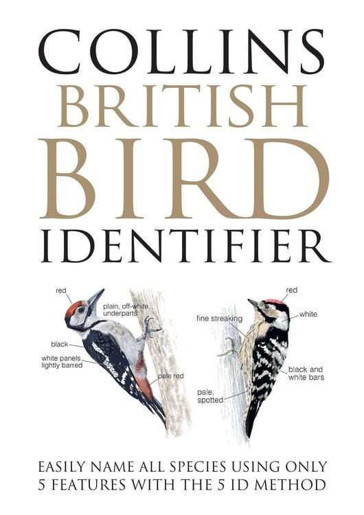 Produktbild: BRITISH BIRD IDENTIFIER HB