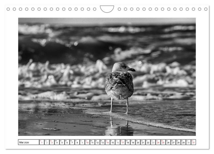 Produktbild: Am Strand von St. Peter-Ording SCHWARZ-WEISS (Wandkalender 2026 DIN A4 quer), CALVENDO Monatskalender
