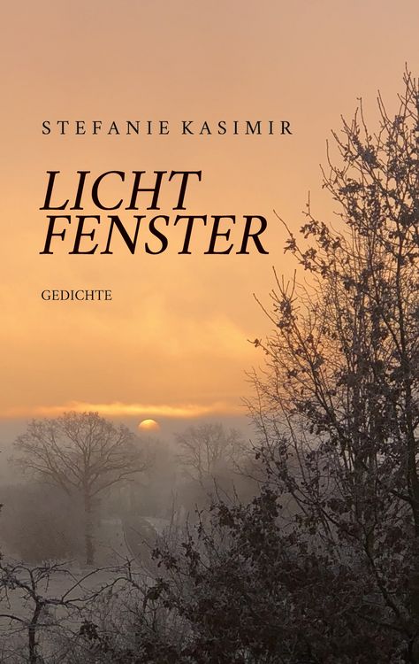 Produktbild: Lichtfenster