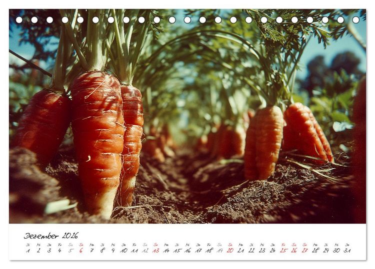Produktbild: Gem&uuml;segarten - Gem&uuml;se aus dem eigenen Garten (Tischkalender 2026 DIN A5 quer), CALVENDO Monatskalender