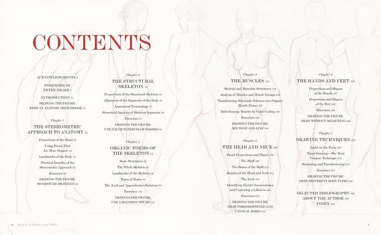 Produktbild: Basic Human Anatomy