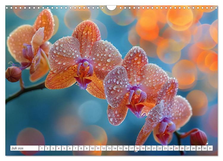 Produktbild: Orchideen - farbenfroh durchs Jahr (Wandkalender 2026 DIN A3 quer), CALVENDO Monatskalender